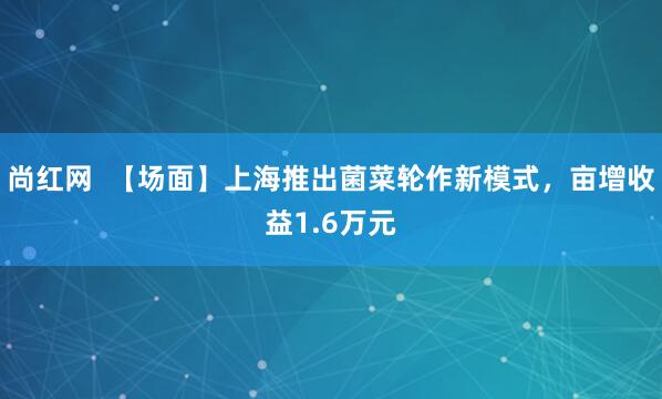 尚红网  【场面】上海推出菌菜轮作新模式，亩增收益1.6万元